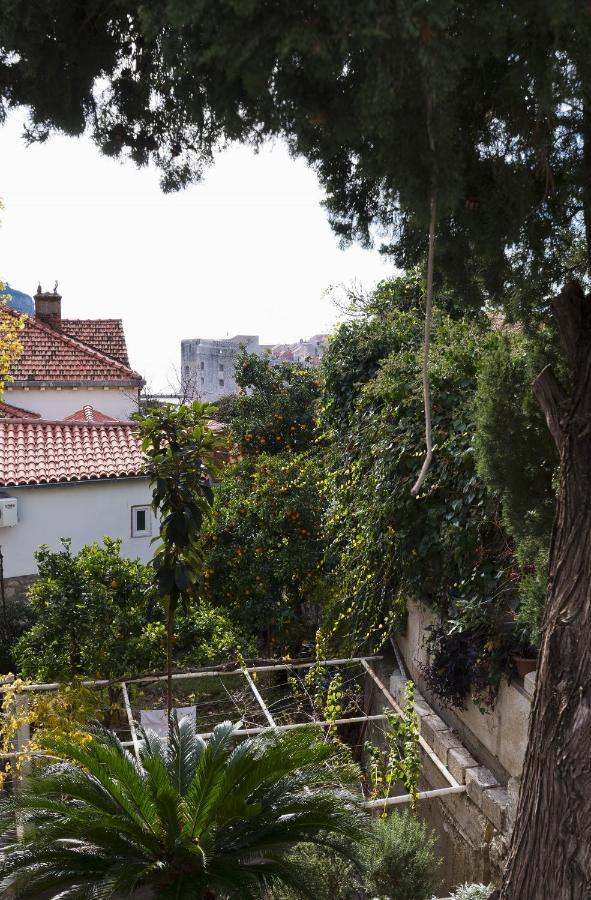 Apartment Niki Dubrovnik Exterior foto